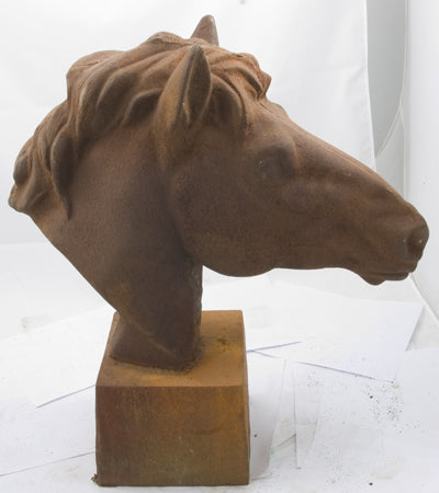 Large Horse Head