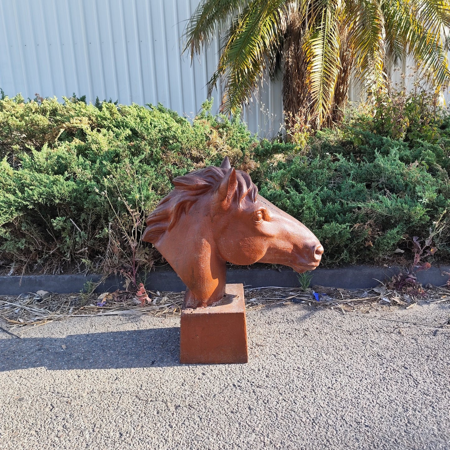 Large Horse Head