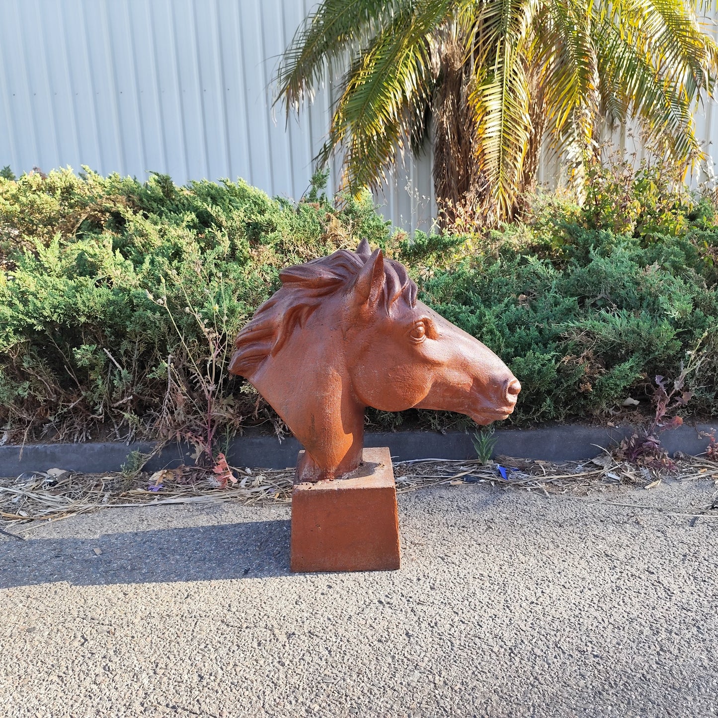 Large Horse Head