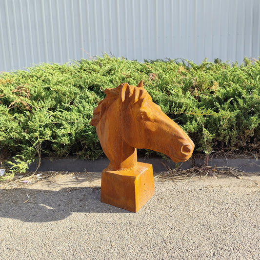 Large Horse Head