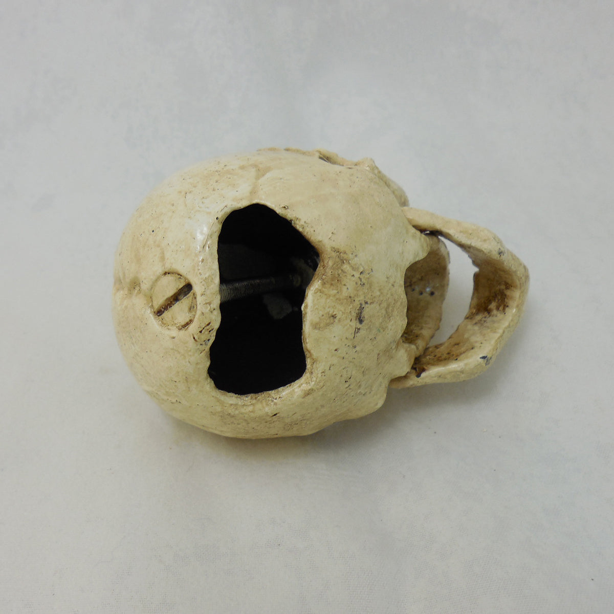 Small Skull Bottle Opener