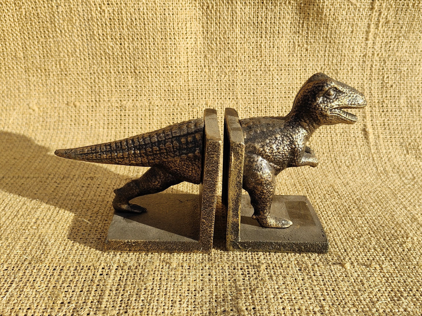 Tyrannosaurus Rex Bookends