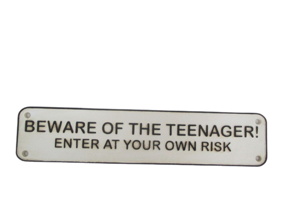 Beware of The Teenager Plaque