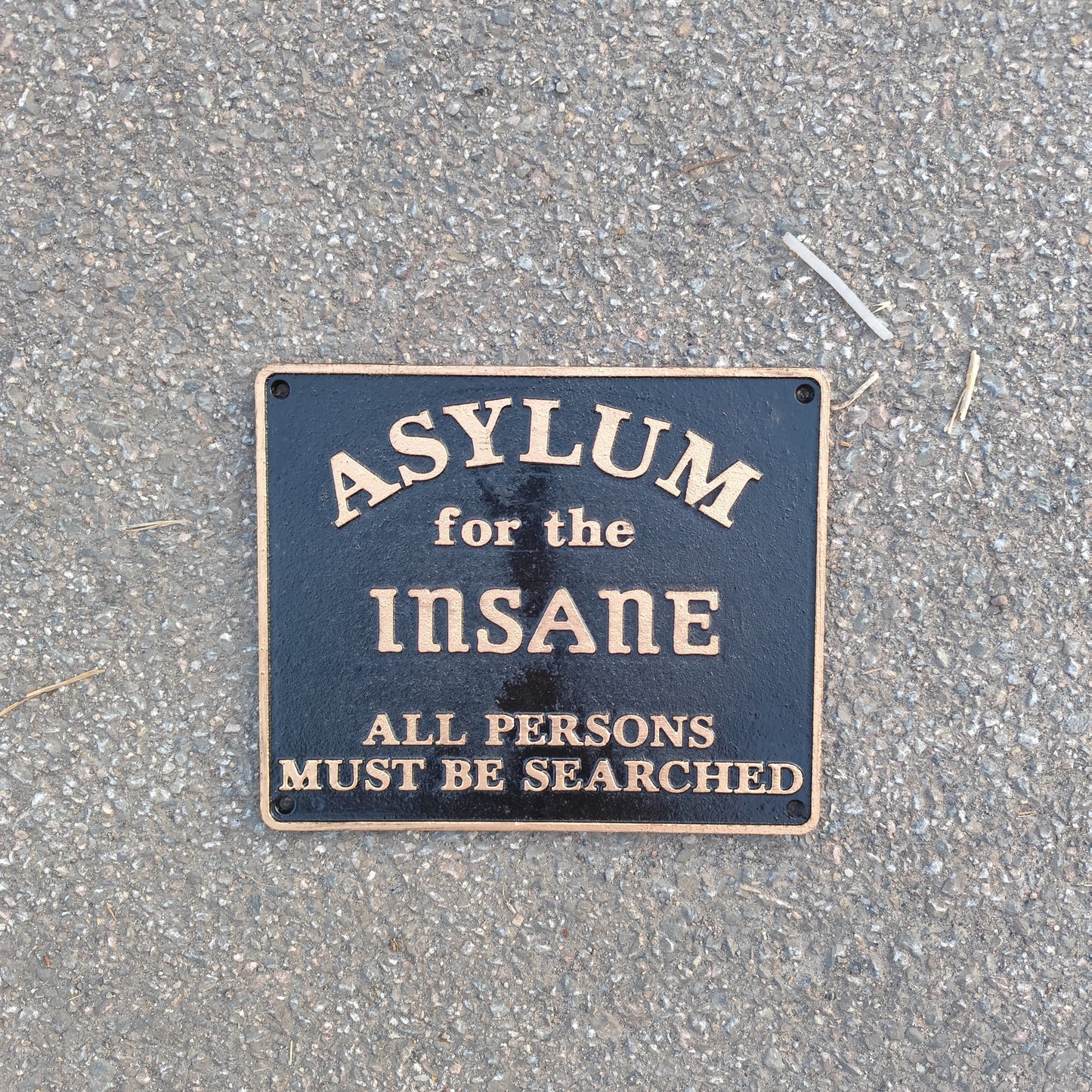 Asylum for the insane sign