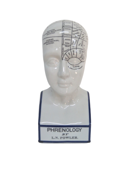 Phrenology Head Blue Rim